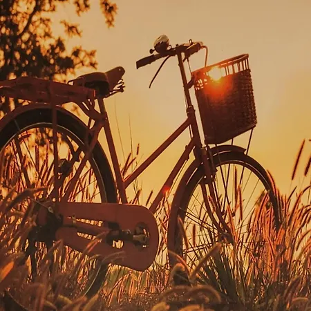 Anaga Tucho Natural House Nyaraló *