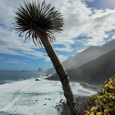 Anaga Tucho Natural House Holiday home *