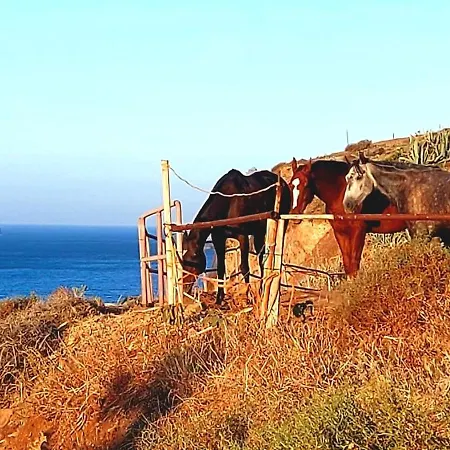 Anaga Tucho Natural House 펜션